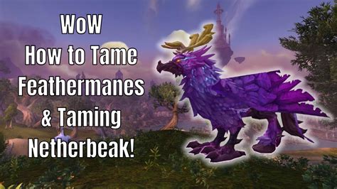 wow tame feathermanes|how to learn tame feathermanes.